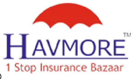 Havmore Insurance logo